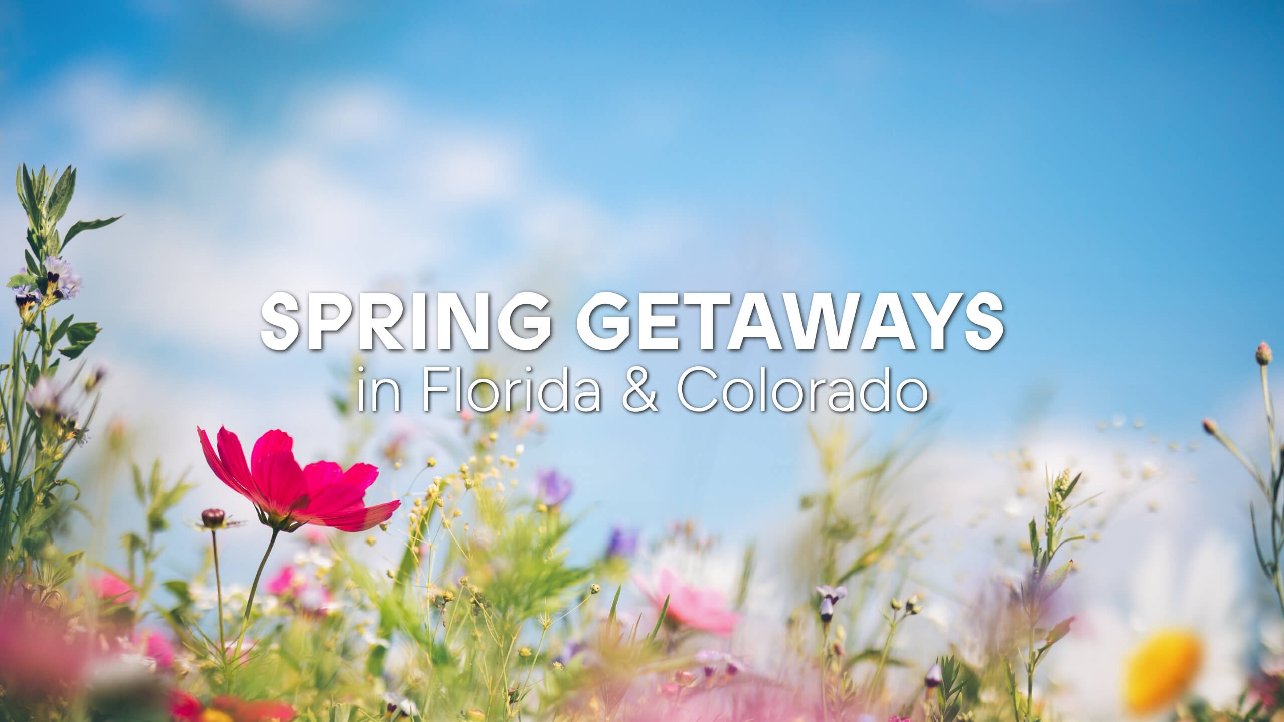 The Fold Hotels: Spring Getaways